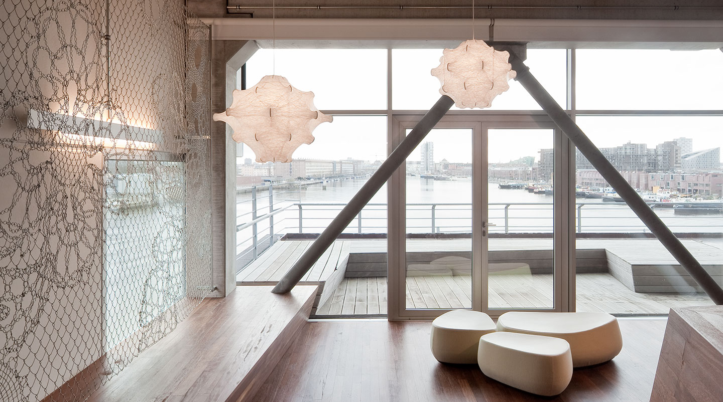 Taraxacum S1/2 Suspension Flos