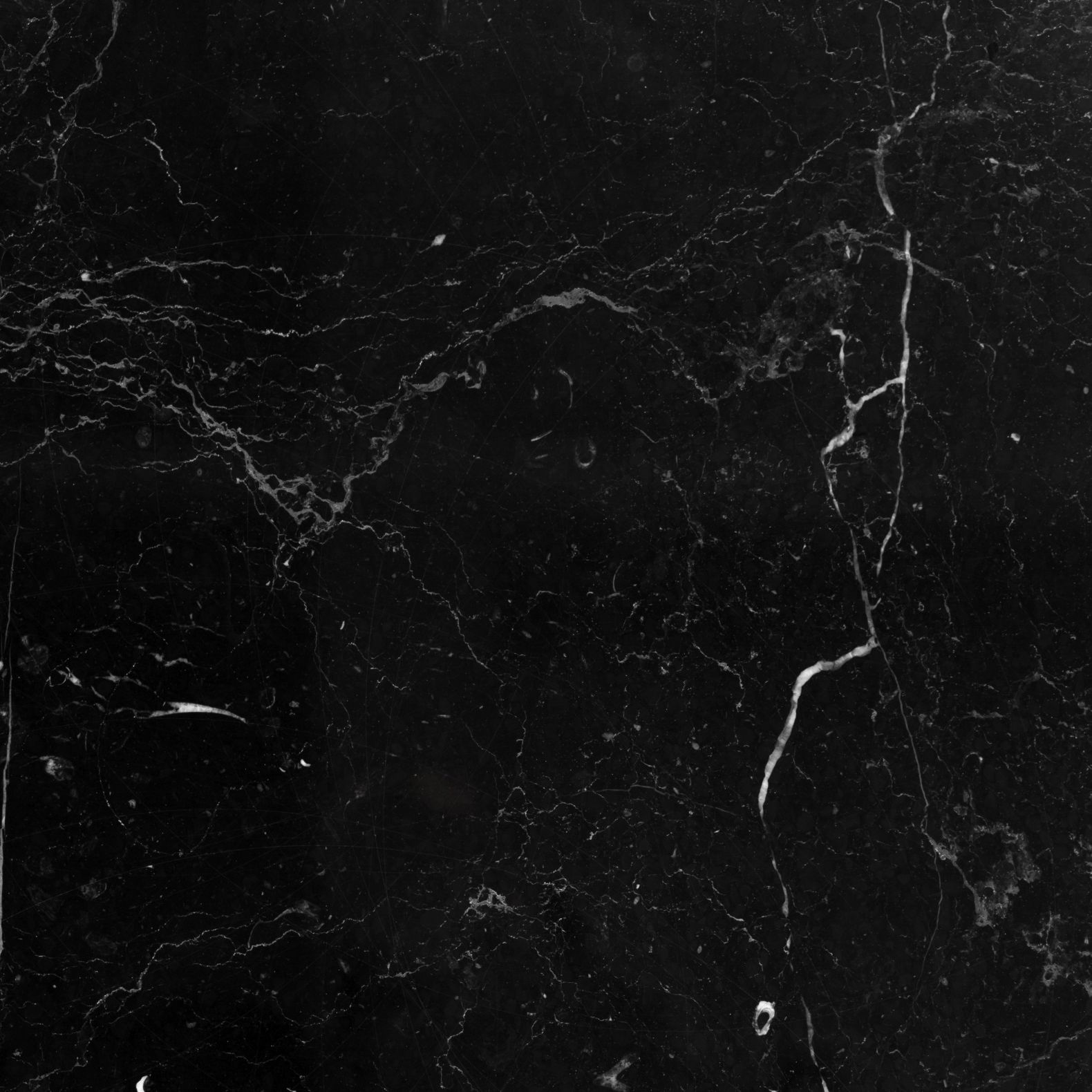 Network Coffee Table black Favius