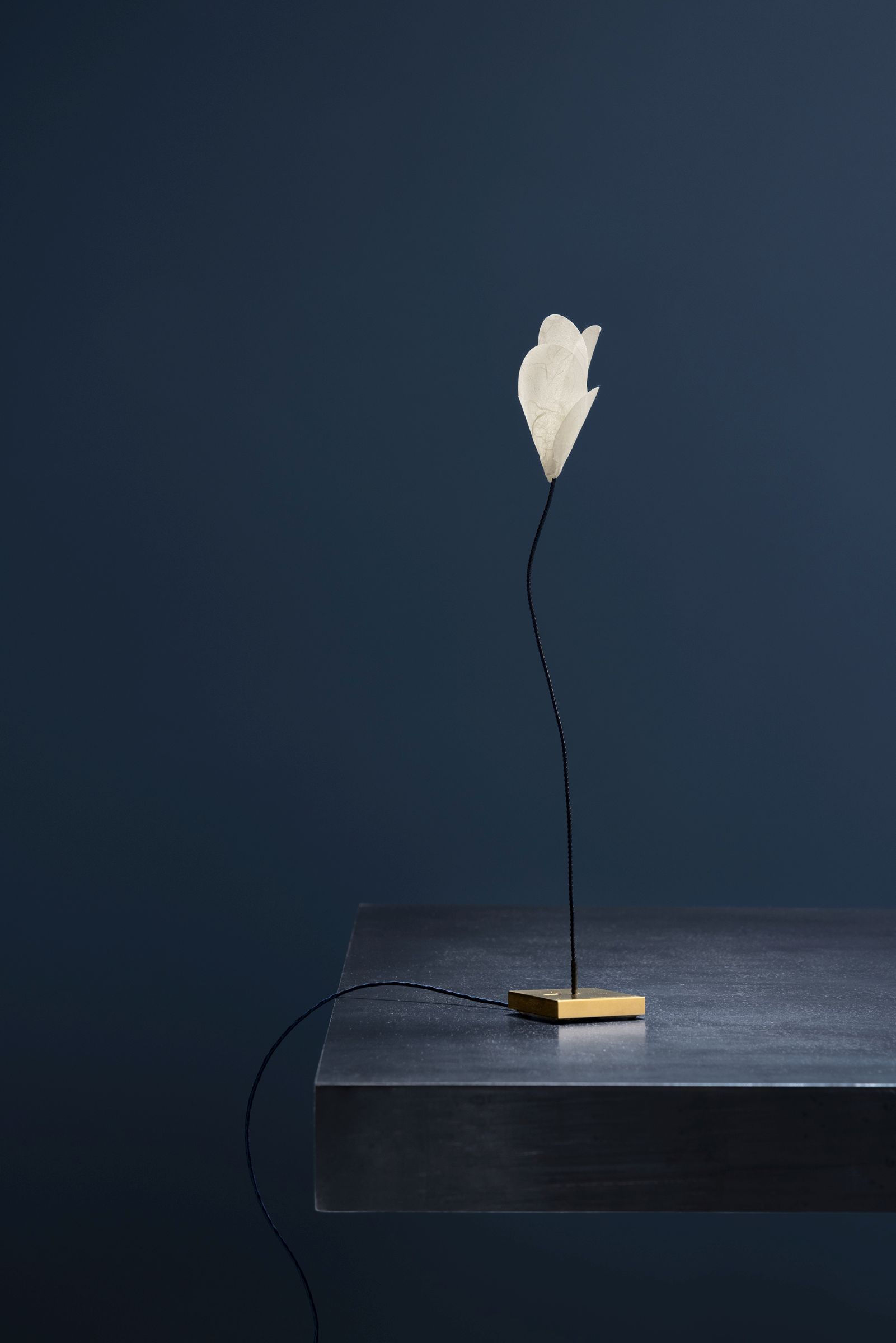 For You USB table lamp Catellani & Smith