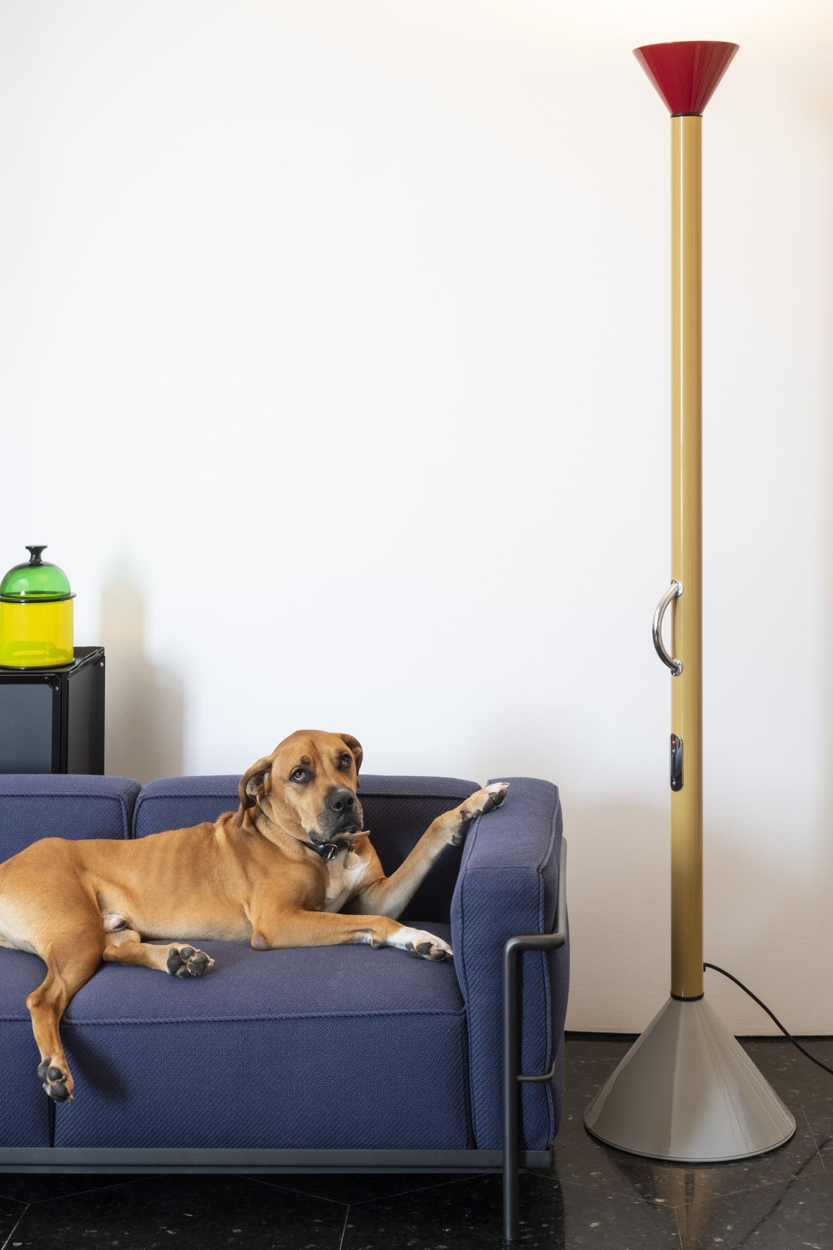 Callimaco LED F Multicoloured Floor Lamp Artemide