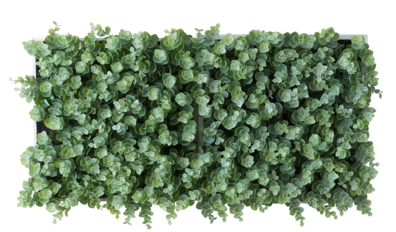 Copenhague Eucalyptus Framework (Plant Frame) Artificial Plant Tanama 