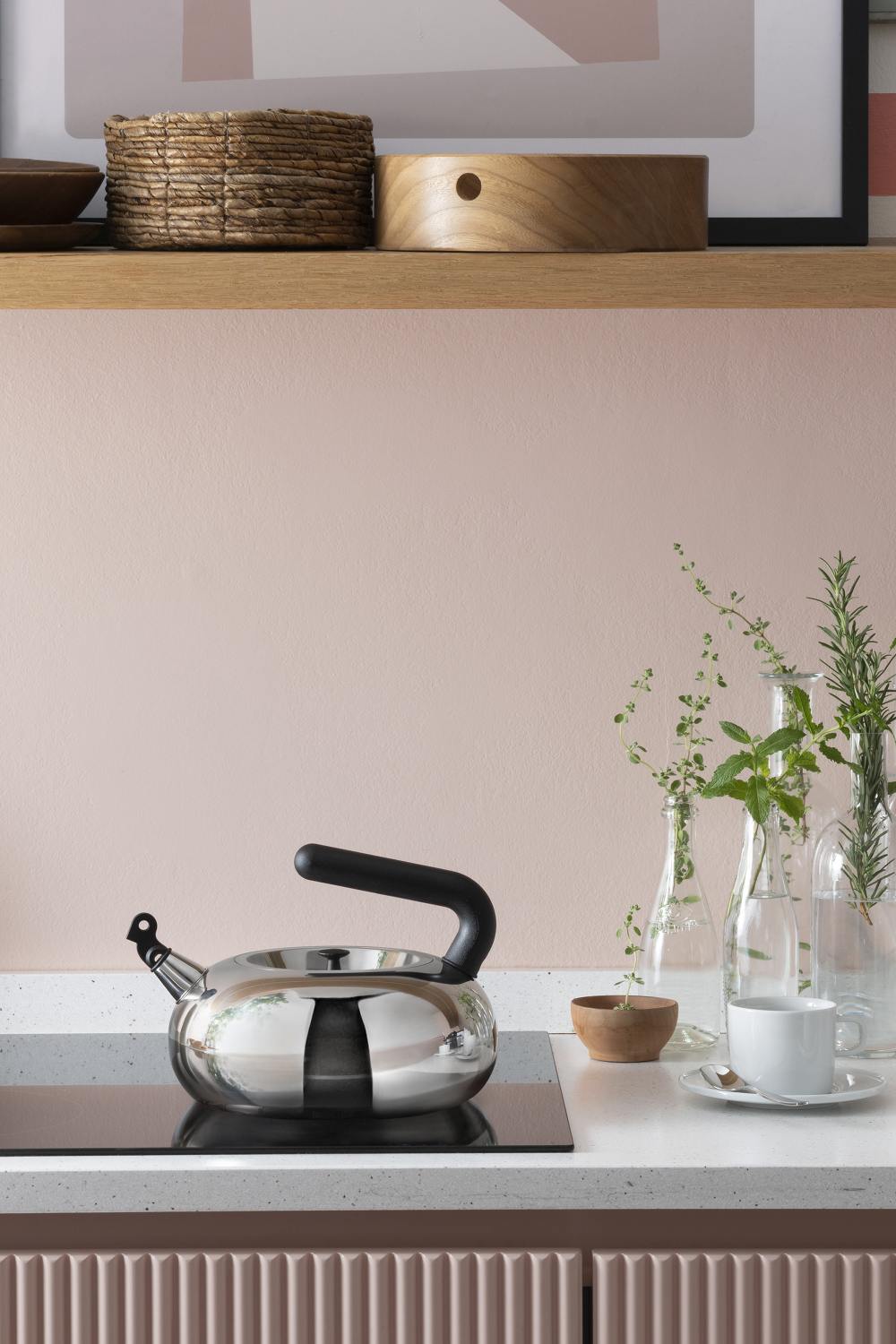 Irony Bulbul Kettle AC100 Alessi LIMITED EDITION