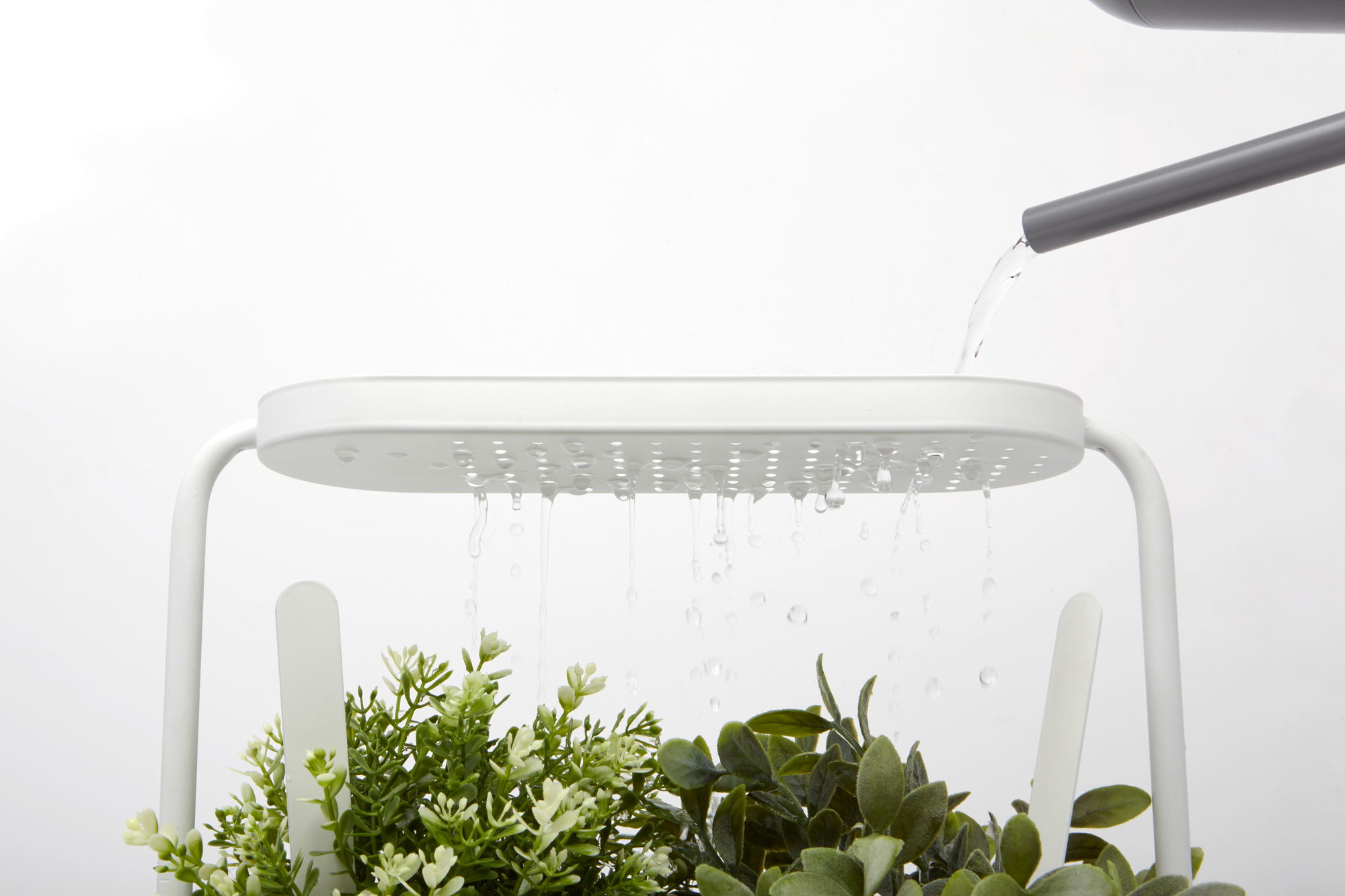 Giardino Herbal pot Umbra SINGLE PIECES