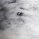 Marble white / white