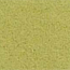 olive hell
