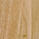 Teak