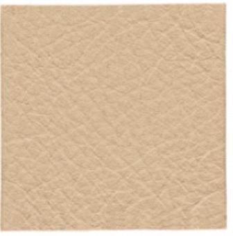 00309 beige