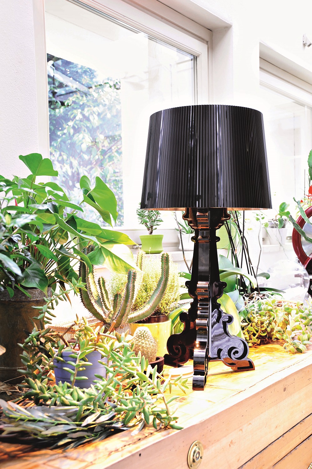 Schwarze Bourgie Tischleuchte von Kartell, platziert auf einem Tisch mit verschiedenen Zimmerpflanzen vor einem Fenster.