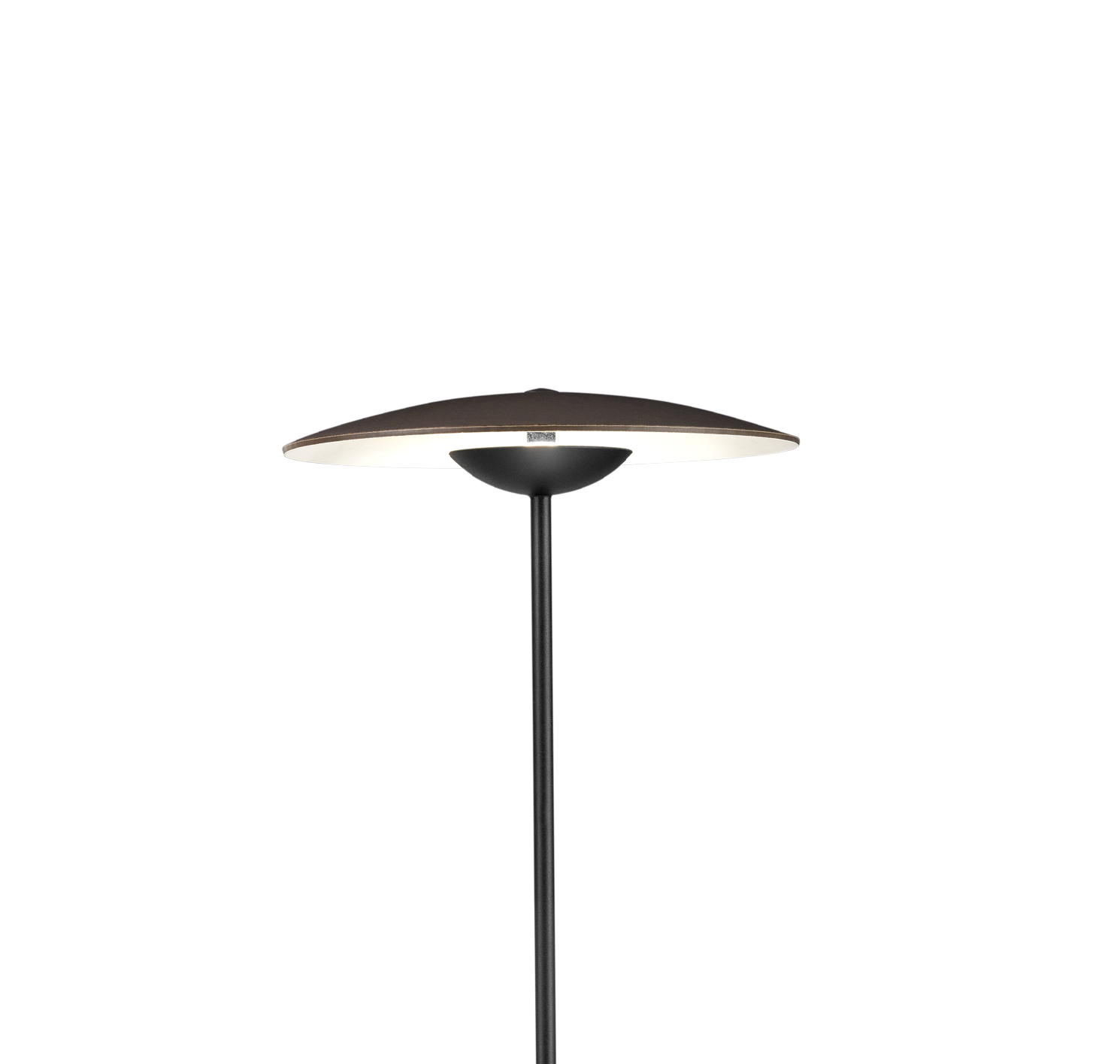 Ginger S LED Tischleuchte in Wenge: Moderne Tischlampe mit Holzfurnier-Schirm und schwarzem Fuß.