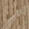 Oak leached white