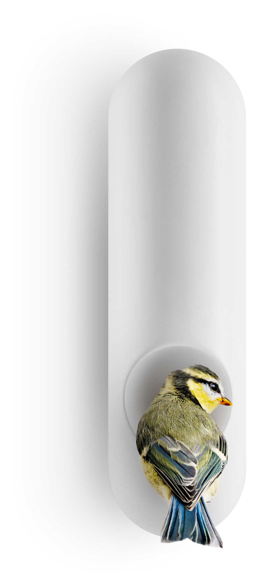 Wall Bird Feeder Tube Eva Solo SINGLE PIECES
