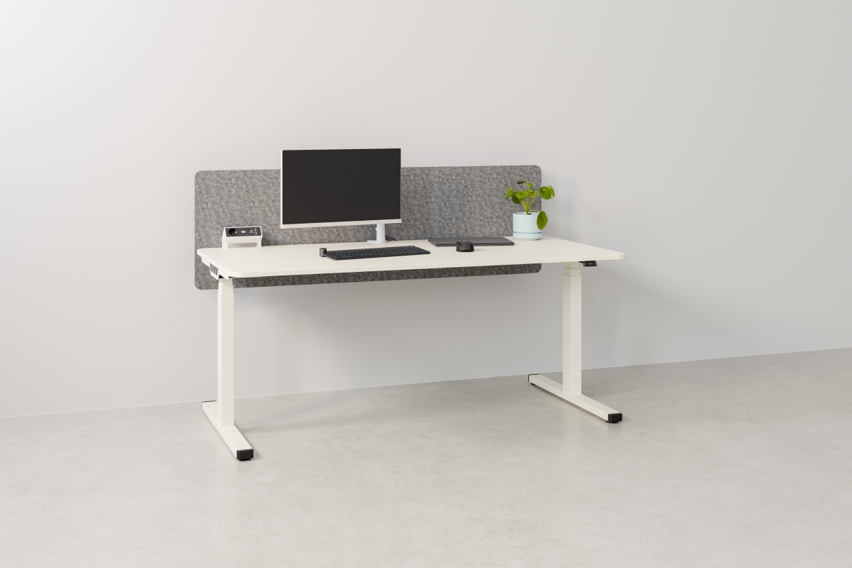 Moderner, höhenverstellbarer Palmberg Schreibtisch mit PC, Tastatur, Maus und Pflanze für ein ergonomisches Büro.