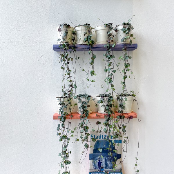 D:001 Wall Shelf Fuchs & Habicht