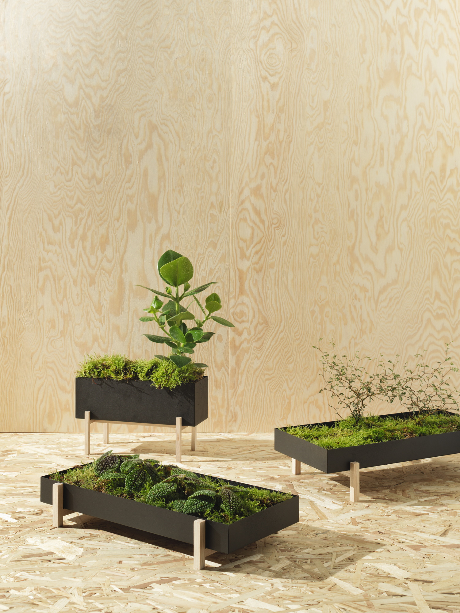 Botanic herb box Design House Stockholm SINGLE PIECES