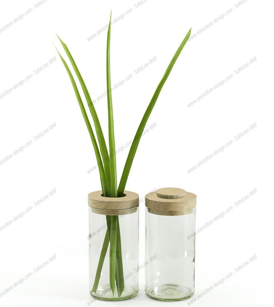 Vase &amp; Box Side by Side clear SINGLE PIECES