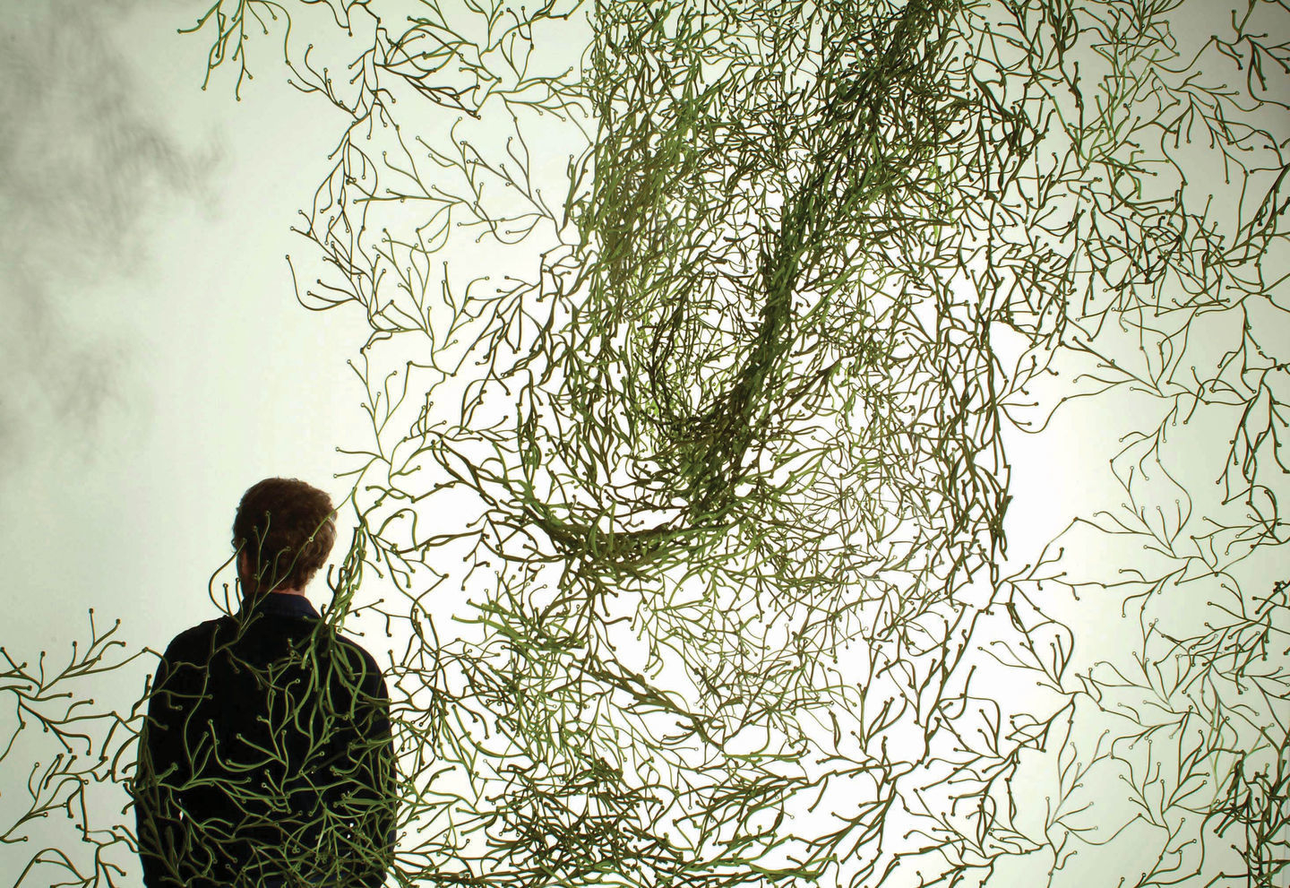 Algue Partition /Algae decorative elements Vitra