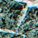 Verde Alpi (Serpentine hard stone)