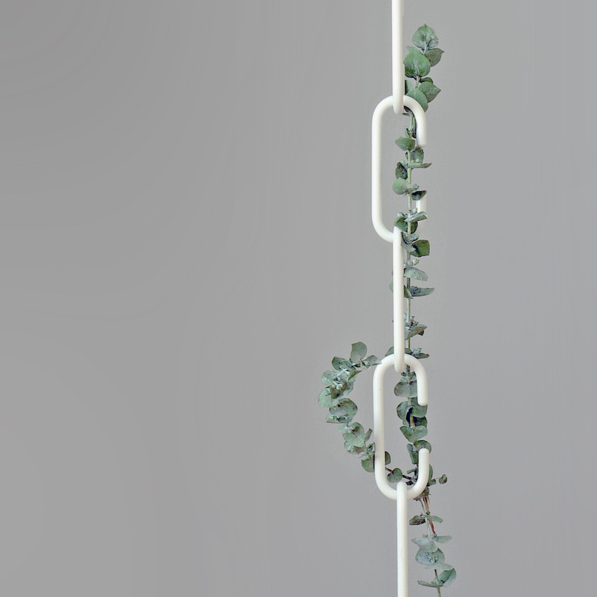 C + C Hook black Roomsafari