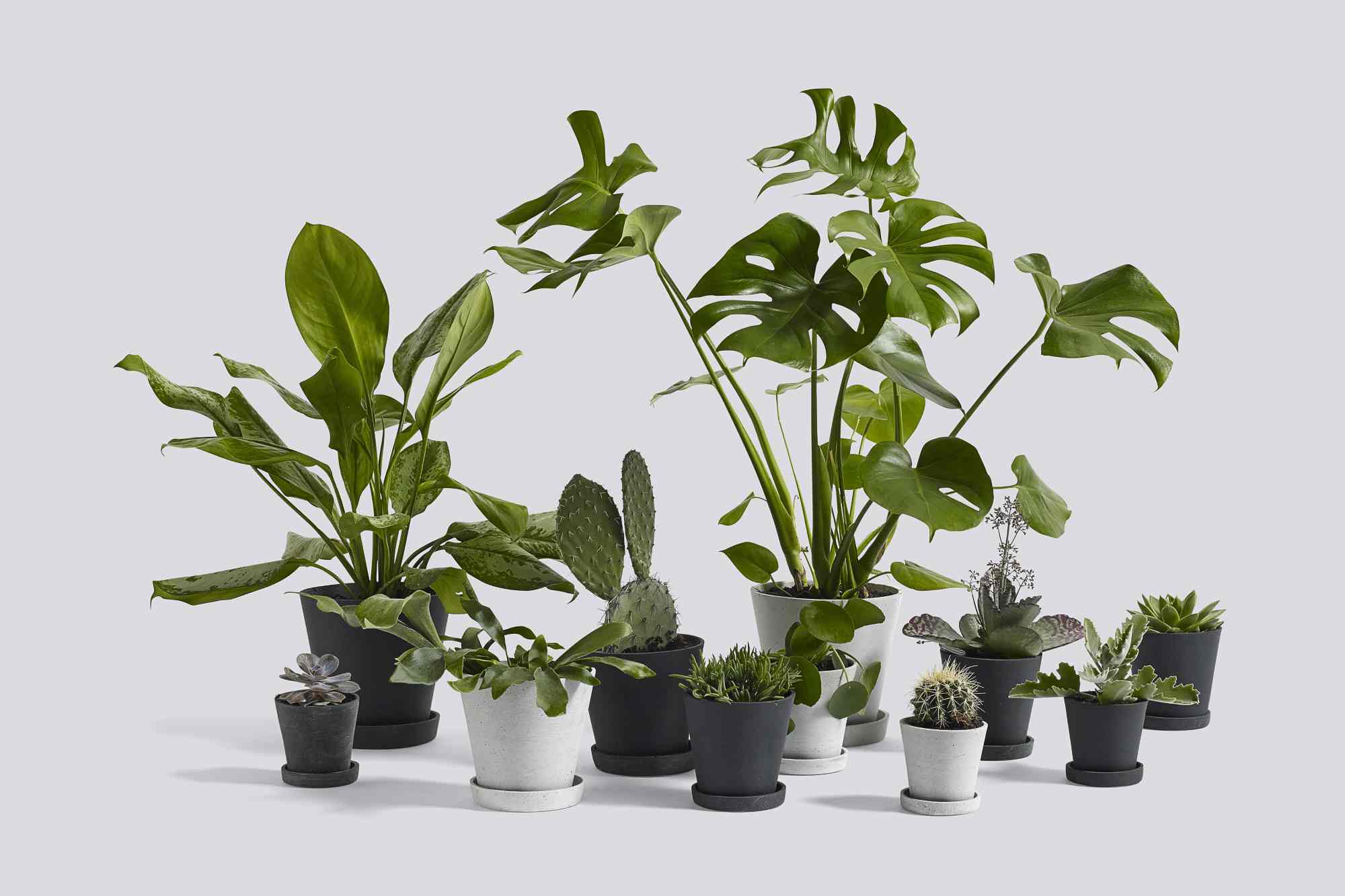 Flowerpot with Saucer M Hay