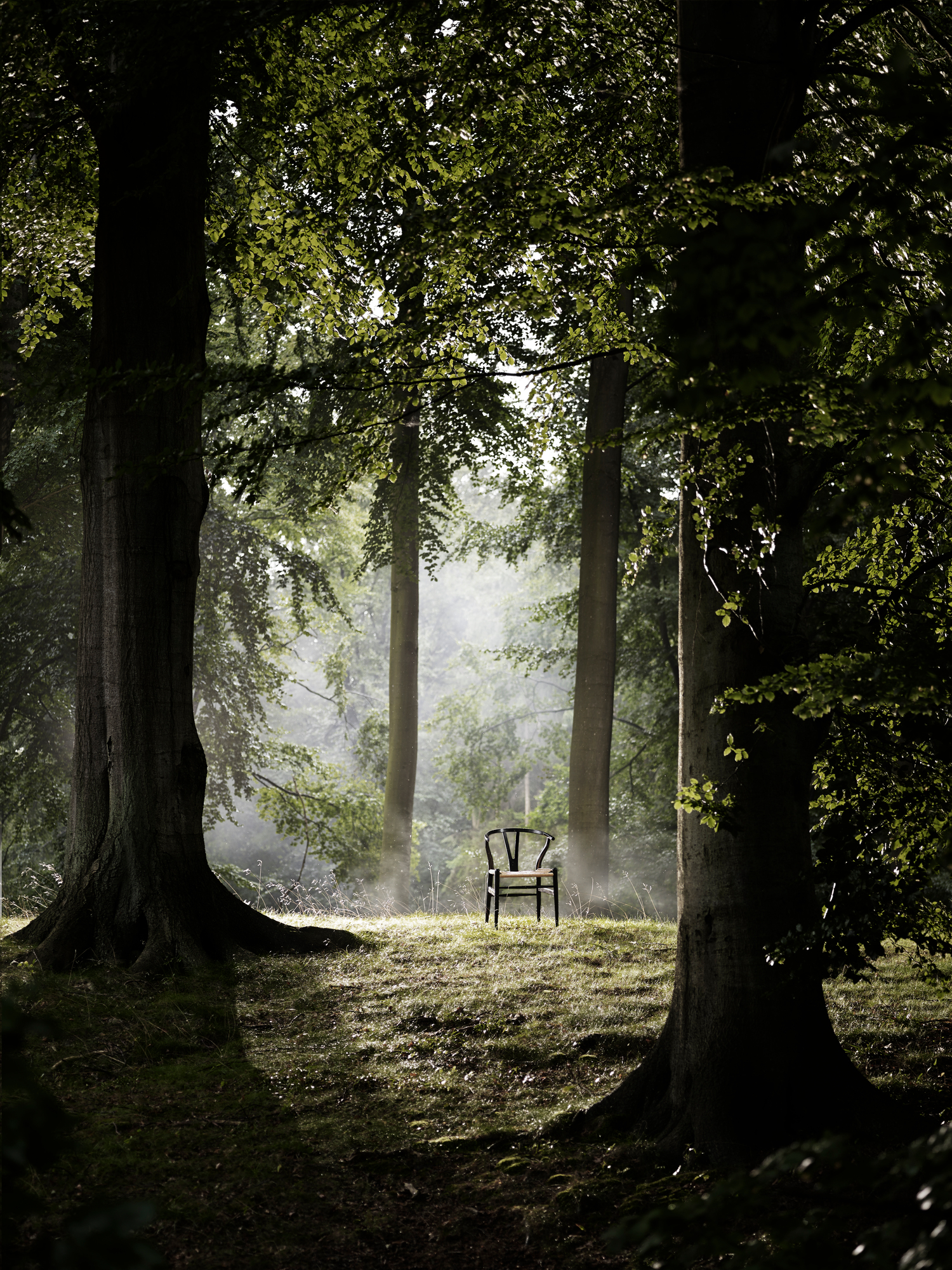 CH24 Wishbone Chair / Y-Chair Carl Hansen & Søn