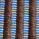 Chestnut & Blue