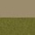 Beige - Green