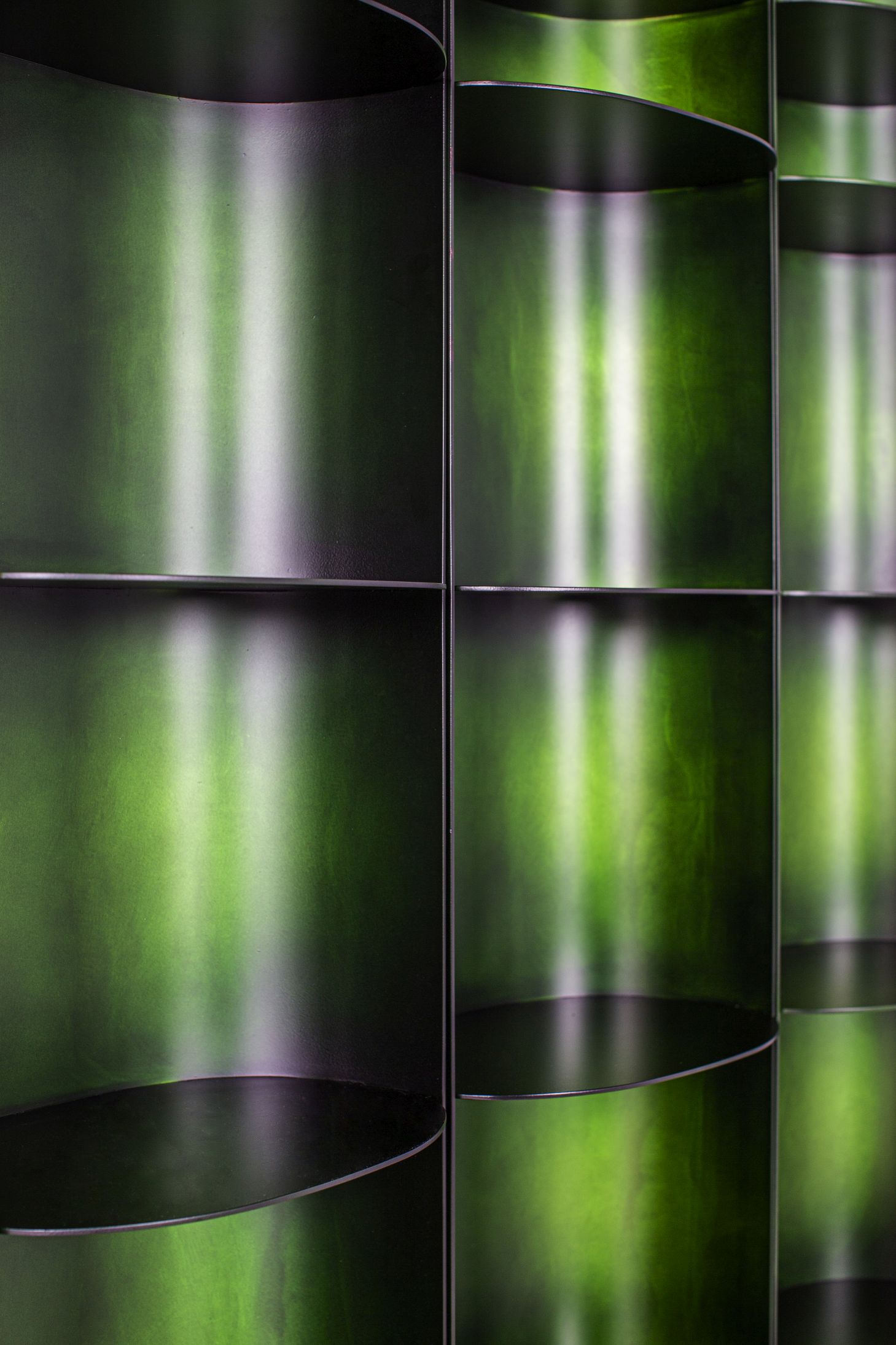 Como shelf Pulpo