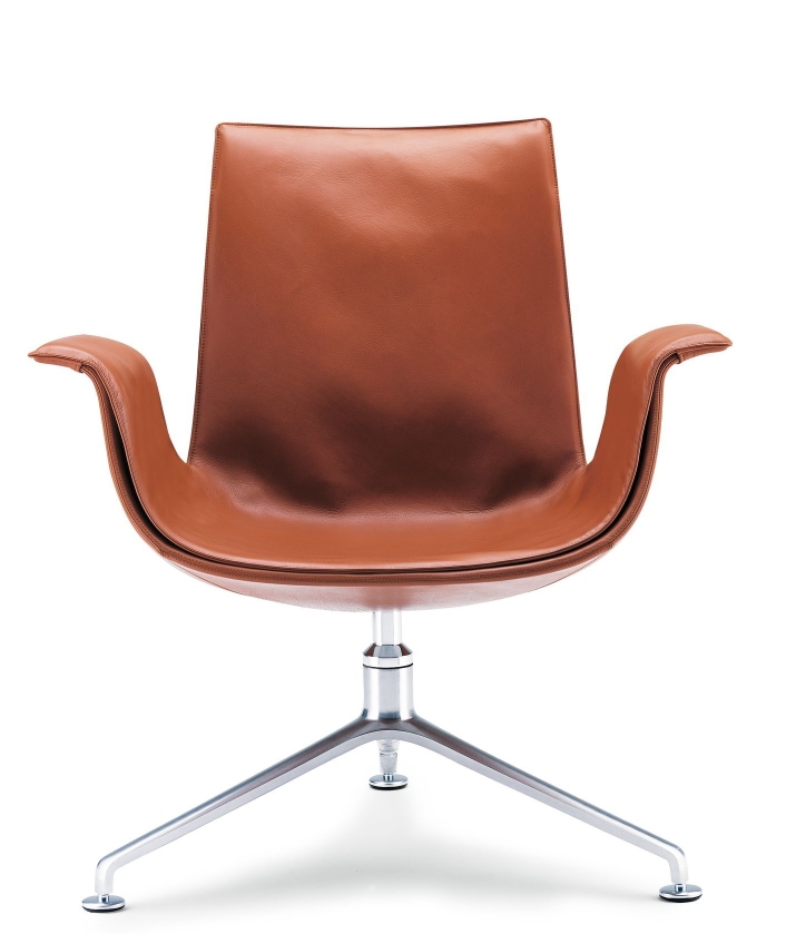 FK 6725-3G Armchair Walter Knoll 