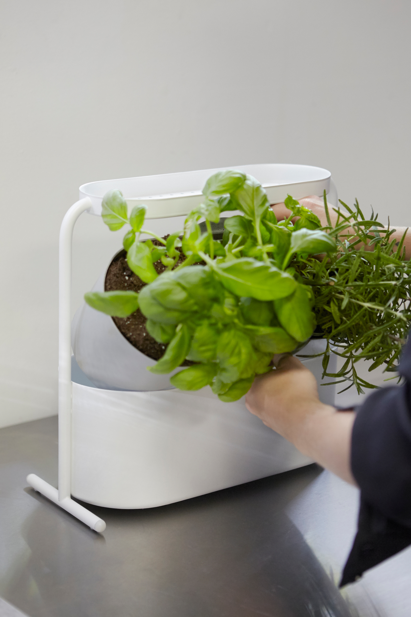 Giardino Herbal pot Umbra SINGLE PIECES