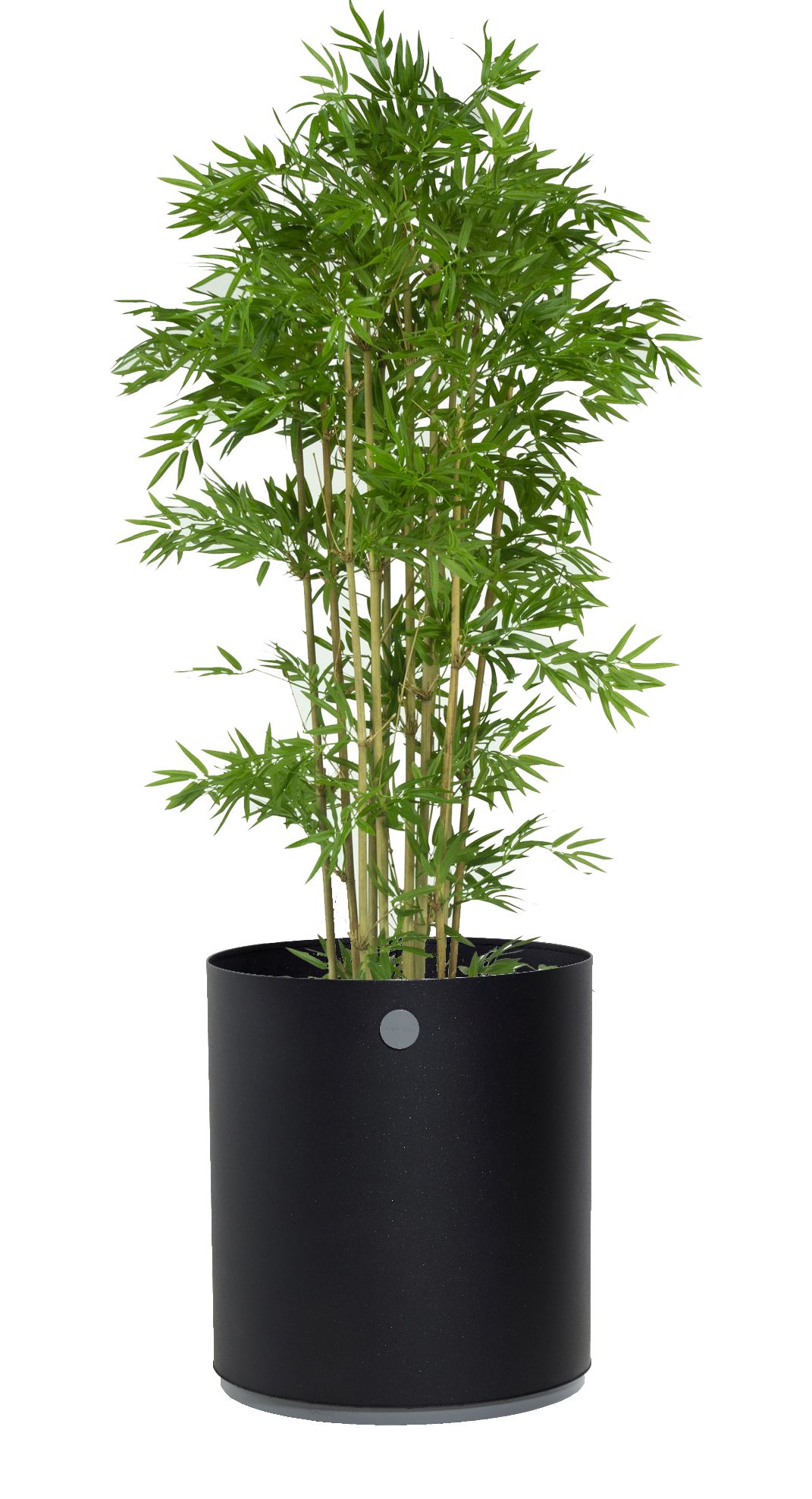 Grow Planter Medium Outdoor Cane-Line