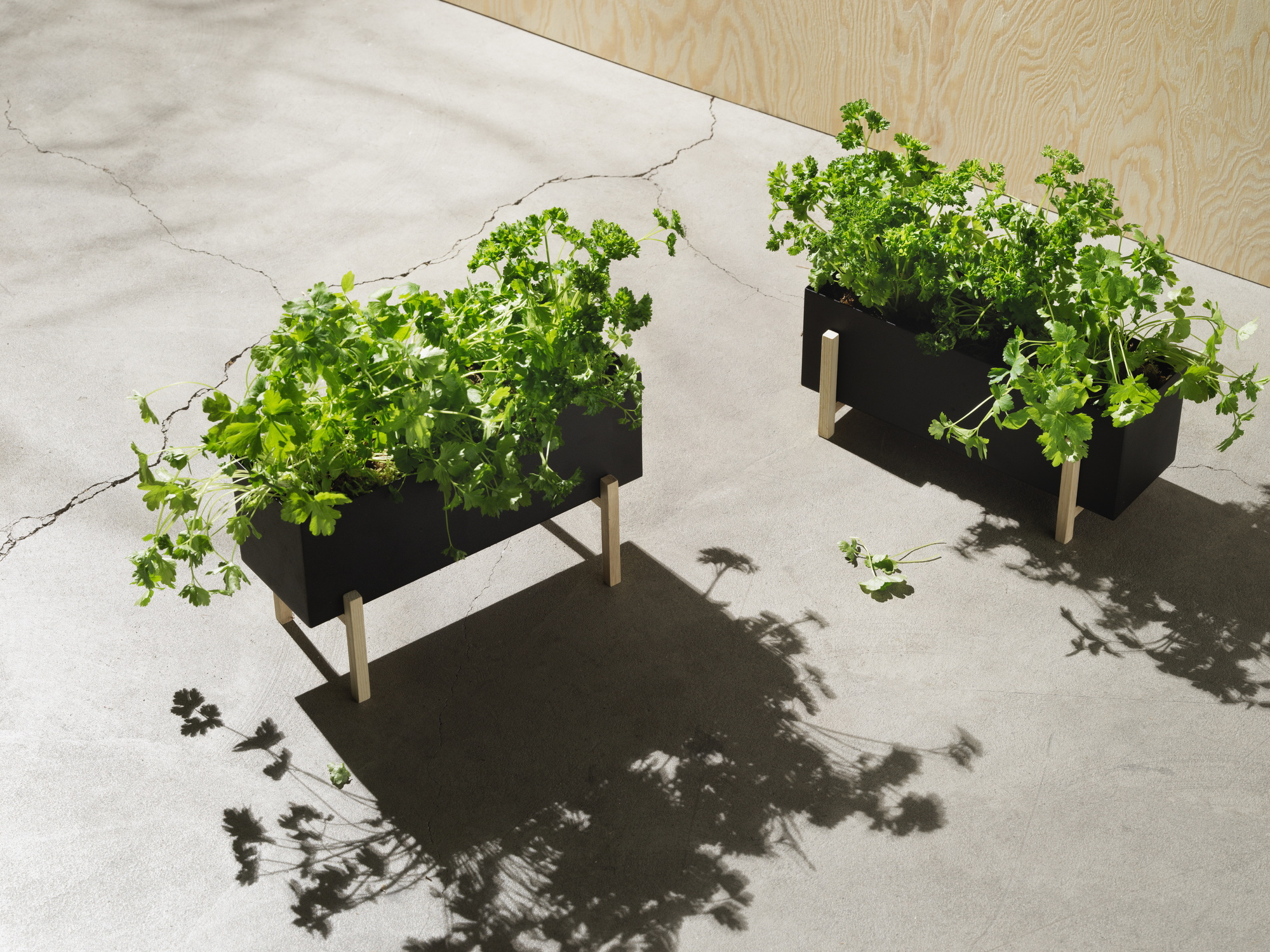 Botanic herb box Design House Stockholm SINGLE PIECES