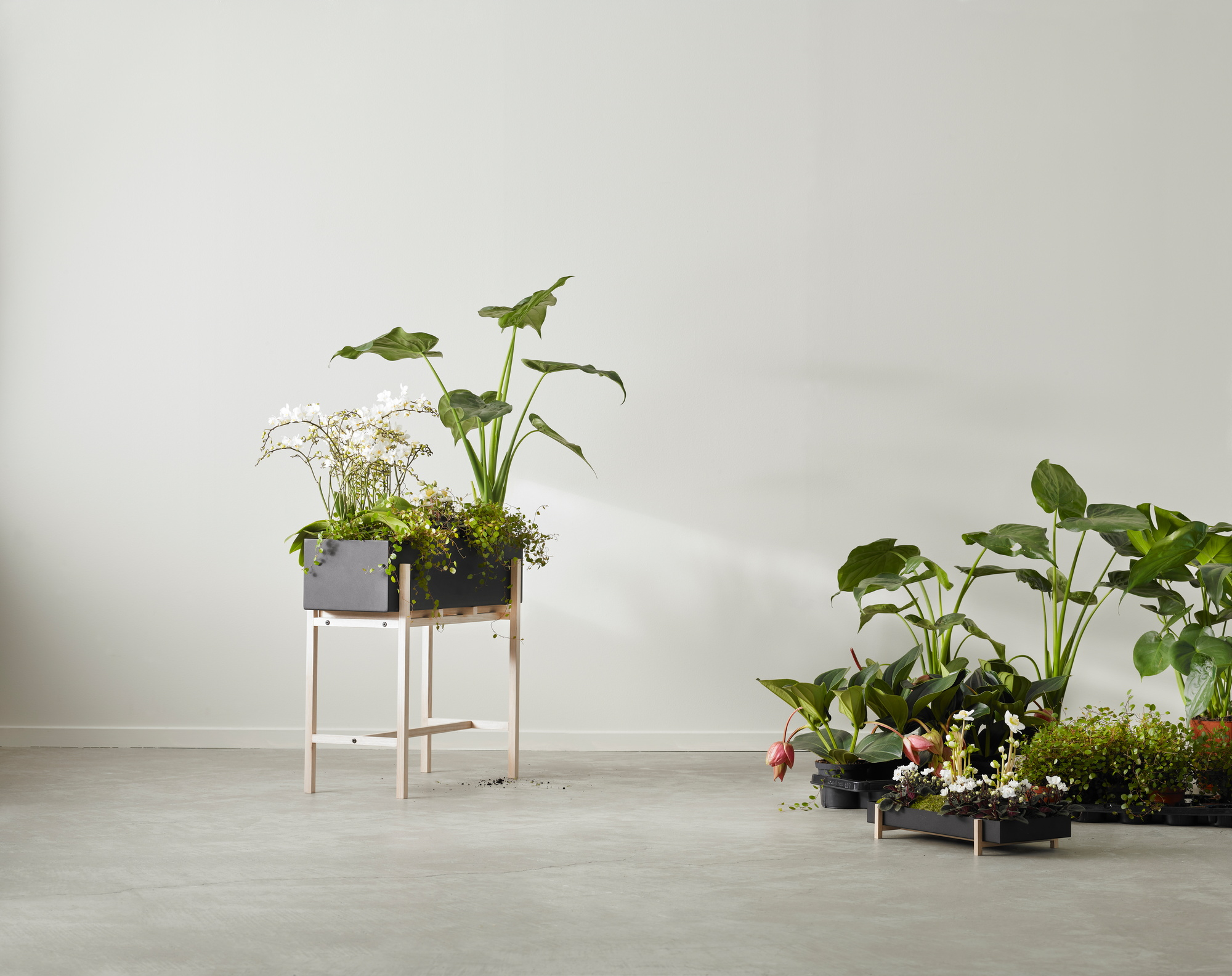 Botanic Flower Stand Big Design House Stockholm SINGLE PIECES