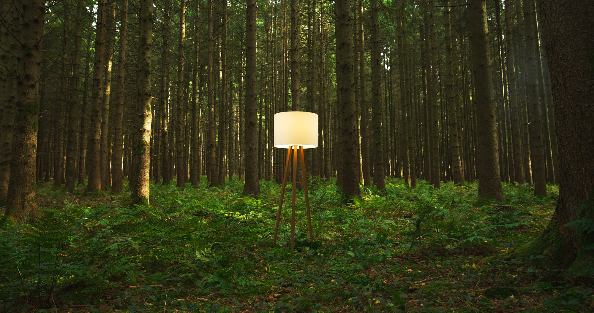 Luca Stand high floor lamp natural oak / white Maigrau
