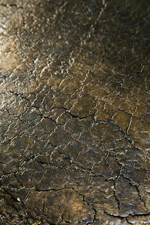 Luna Coffee Table Lava Whisky Ethnicraft