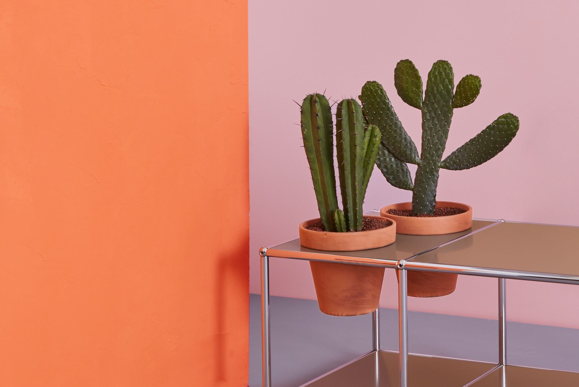 Plant worlds Side table USM Haller Golden yellow