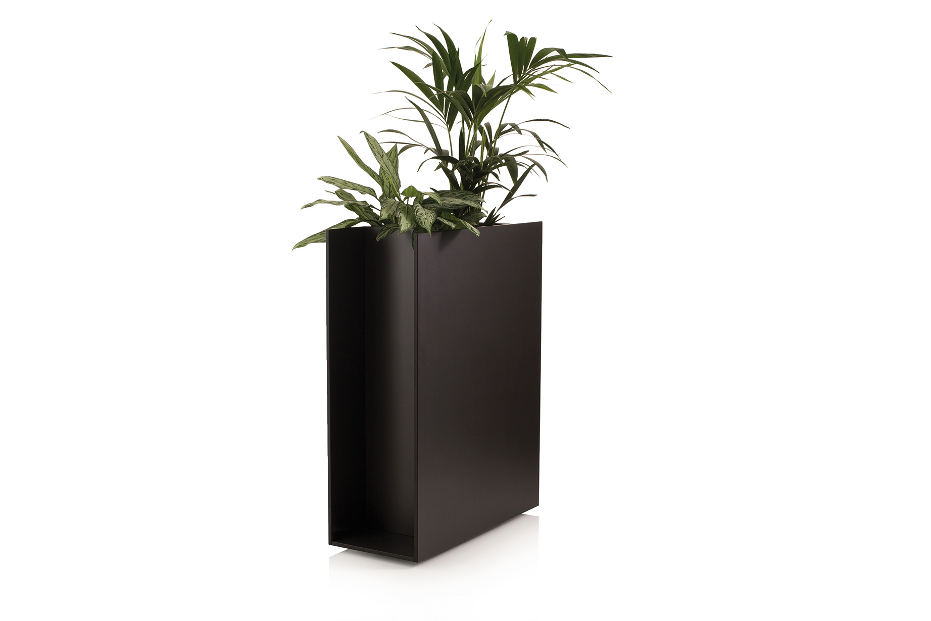 Sotomon Planter Conmoto