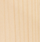 Tanne (Outdoor)
