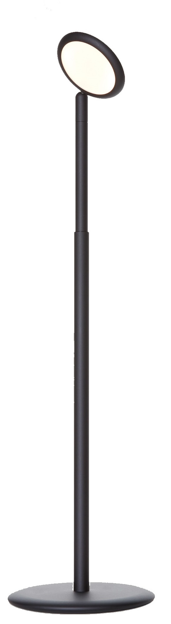 Parrot Floor lamp Grau