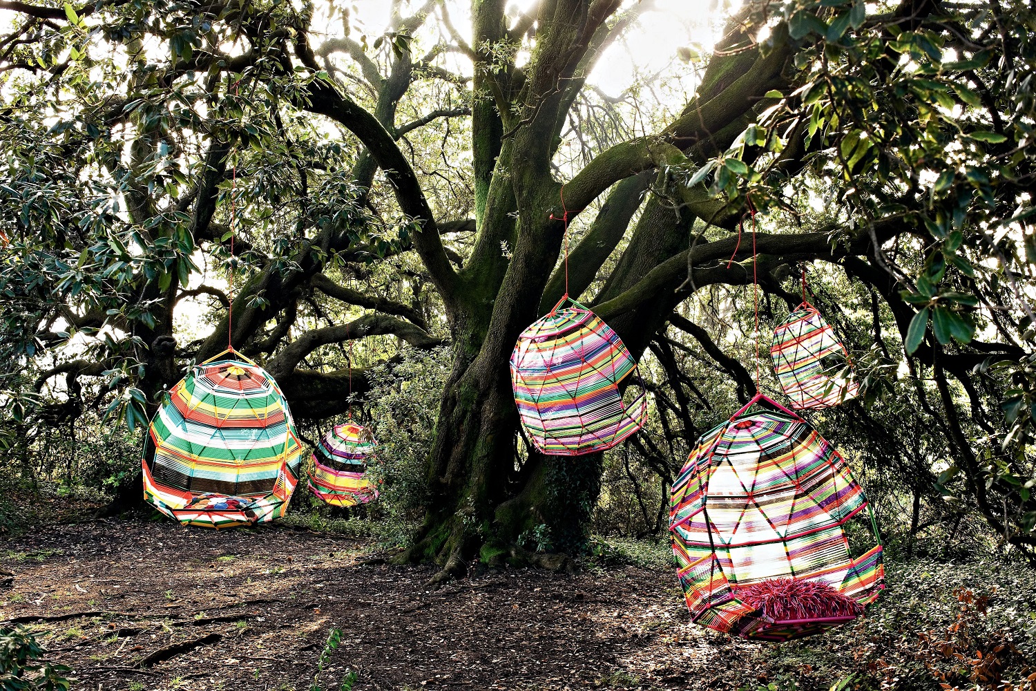 Tropicalia Cocoon Swinging nest Multicolor with 5 pillows Moroso