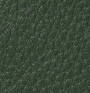 Leder Premium rucola