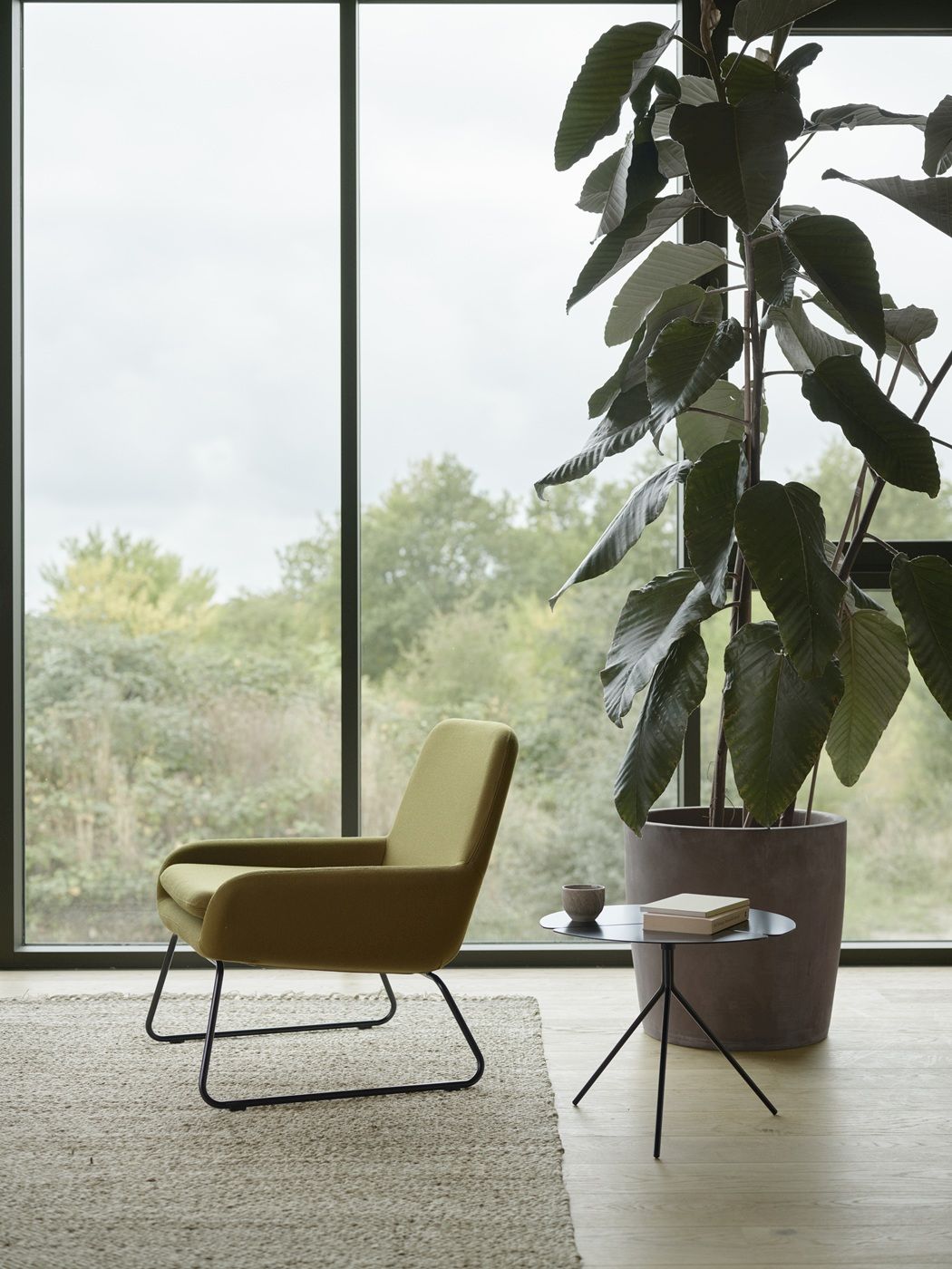 COCO Chair Softline armchair