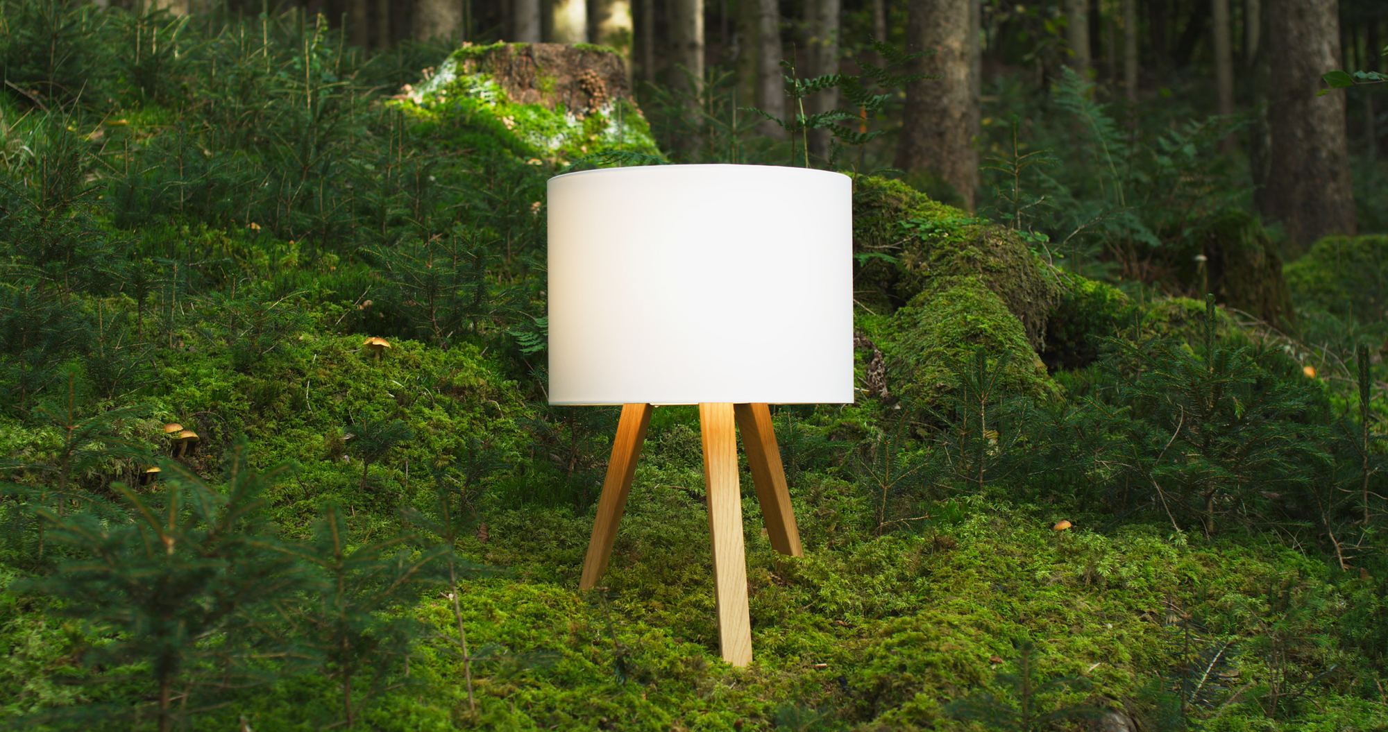 Luca Stand little table lamp natural oak / white Maigrau