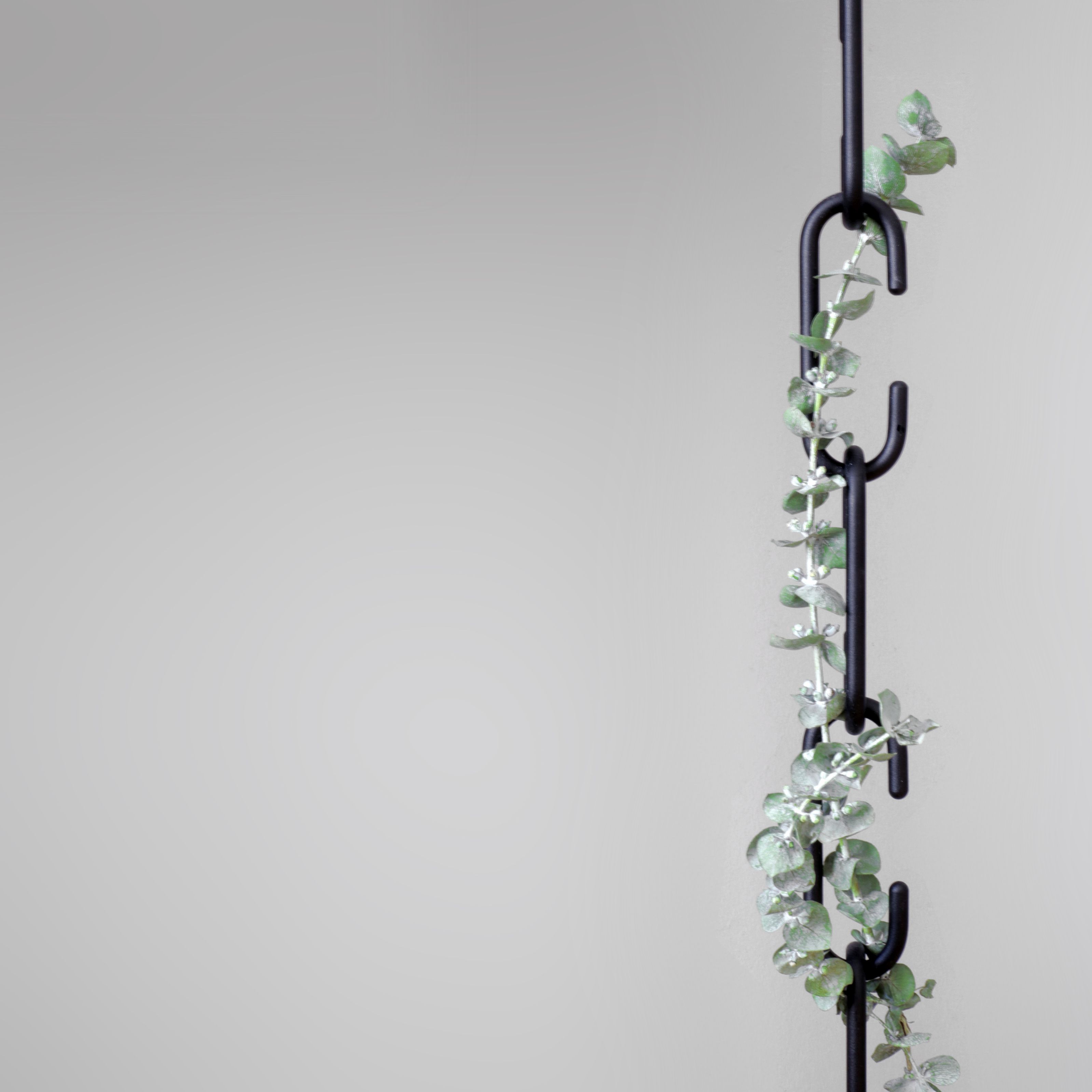 C + C Hook black Roomsafari
