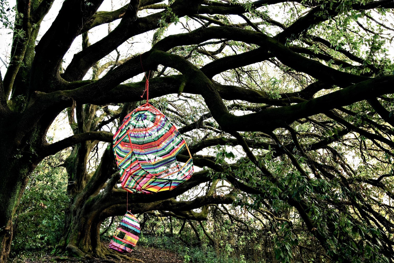 Tropicalia Cocoon swinging nest Moroso