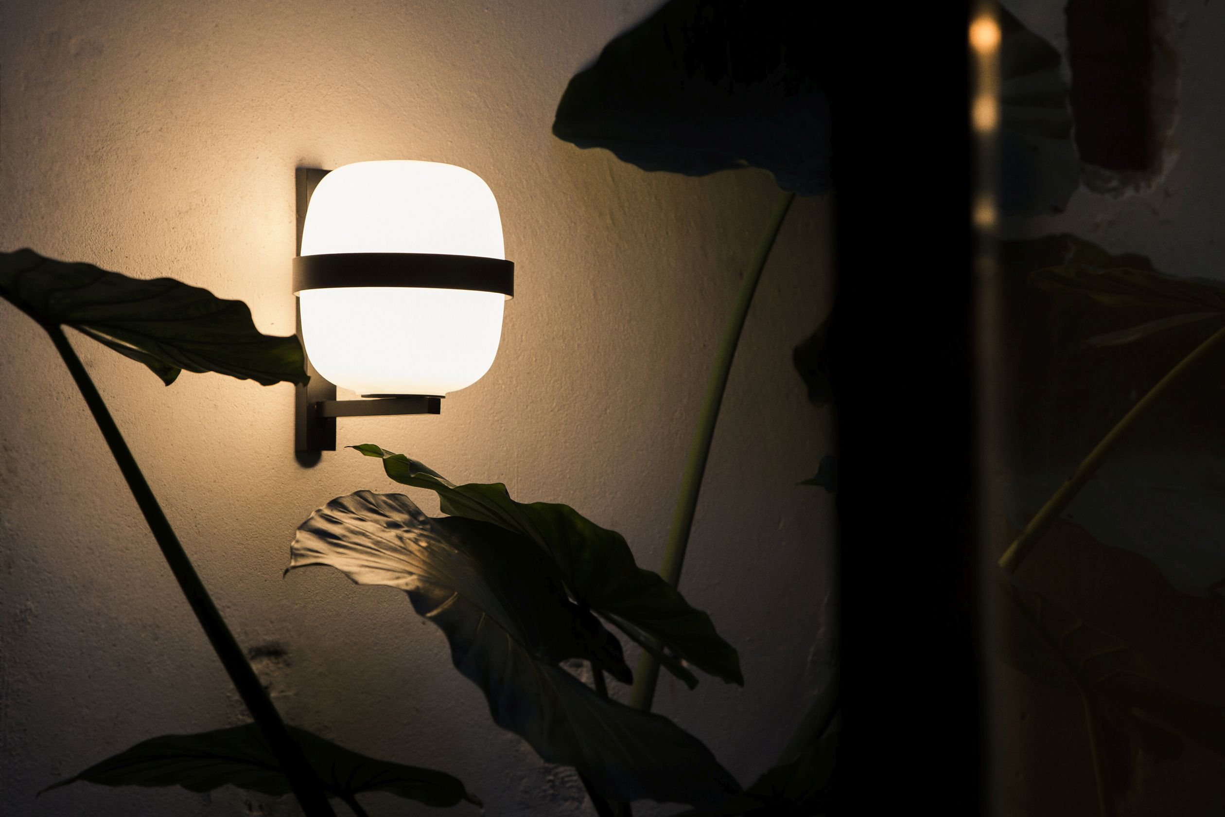 Wally Cestita wall lamp black Santa & Cole