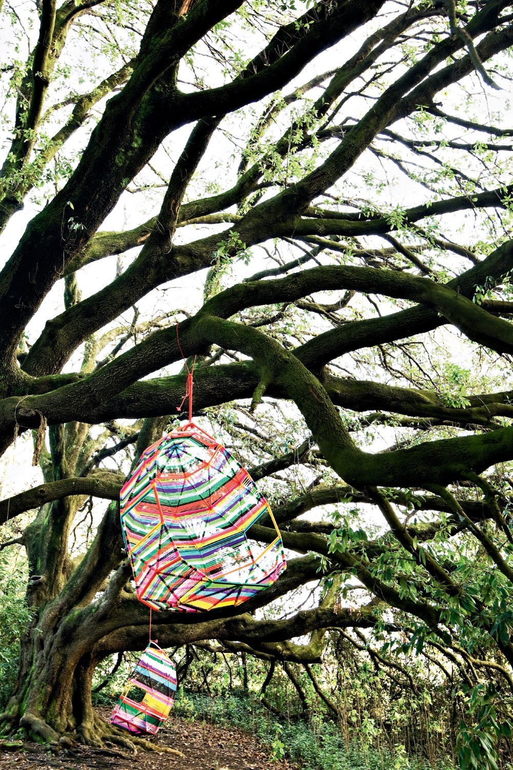 Tropicalia Cocoon swinging nest Moroso