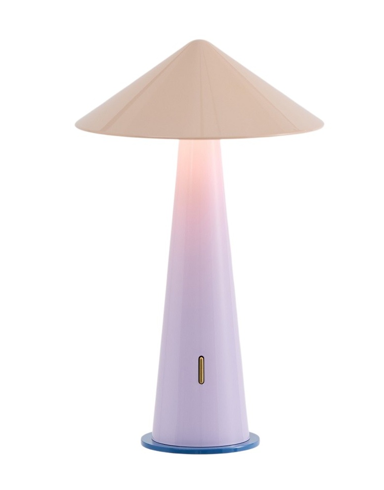 Tipsy Portable Lamp Rechargeable Lamp / Table Lamp house of home