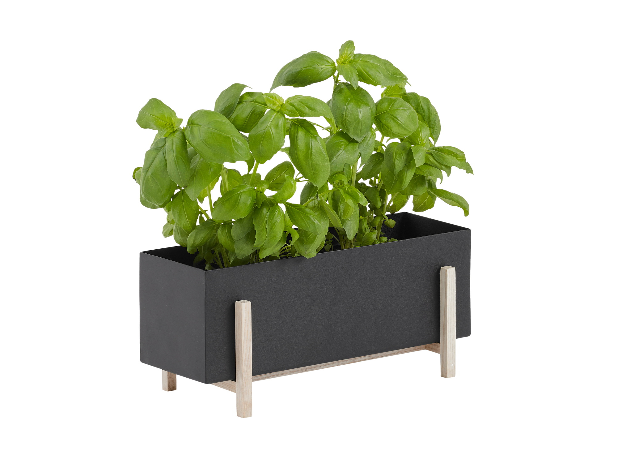 Botanic herb box Design House Stockholm SINGLE PIECES