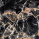 Marble Nero Portoro