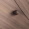 Walnut, Hands Walnut